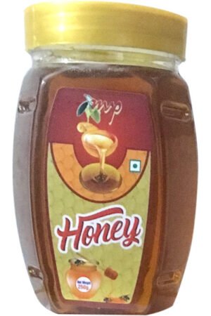 Shudh Honey